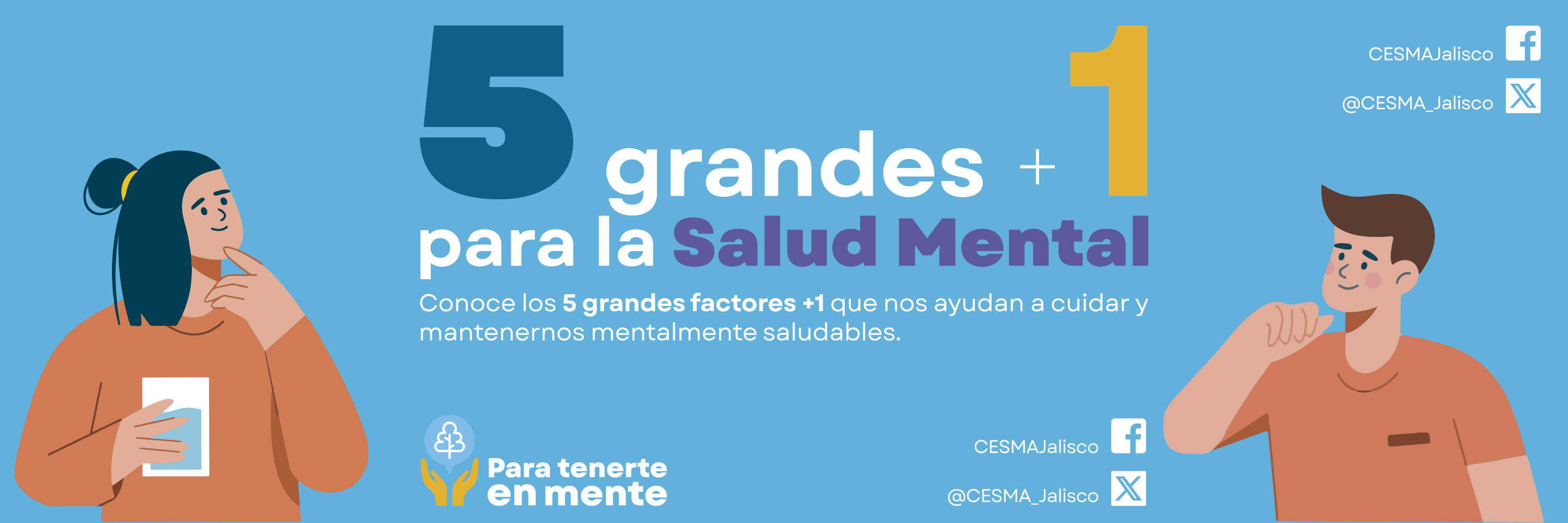 Consejo Estatal de Salud Mental y Adicciones